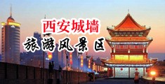 骚逼大量白浆中国陕西-西安城墙旅游风景区