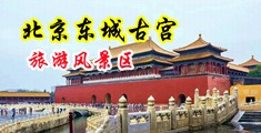 办公室插穴中国北京-东城古宫旅游风景区